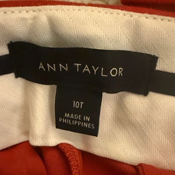 Ann Taylor Bold Burnt Sienna Pant - Picture 2 of 5